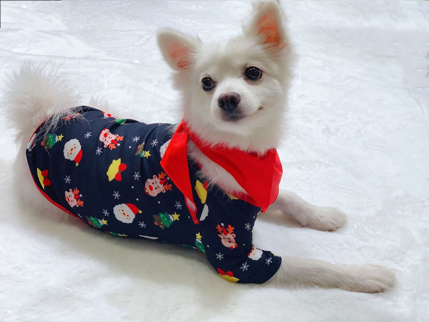 Conjunto de Pijamas Navideños para la Familia. COMPRA INTERNACIONAL