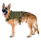 Arnés para perros