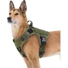 Arnés para perros