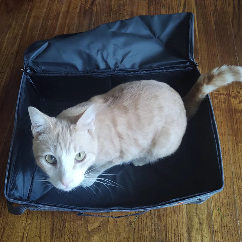 Caja de Arena para Gatos Plegable para Viajes con Tapa y Asa: Ideal para Viajes y Uso en Casa, Suministros para Gatos para Todas las Temporadas. COMPRA INTERNACIONAL